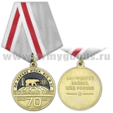 Медаль 70 лет специальным частям по охране МПСР, ВГО и СГ (1946-2016) ВВ МВД России