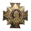 Значок мет. Орден Суворова (крест с лучами)