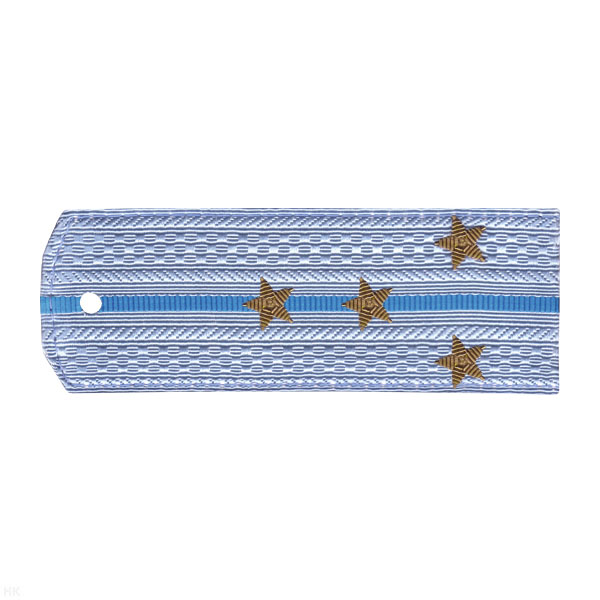 Погоны ВВС голуб. с голуб. просв. (на рубашку) вышит. канителью (капитан)