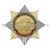 Значок мет. Орден-звезда Воздушно-космические силы