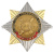 Значок мет. Орден-звезда РВСН (эмблема нов/обр)