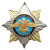 Значок мет. Орден-звезда Войска ПВО (орел)