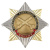 Значок мет. Орден-звезда ЗРВ