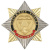Значок мет. Орден-звезда Дорожные войска