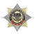 Значок мет. Орден-звезда В память о службе (эмбл. ВДВ ст/обр)