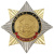Значок мет. Орден-звезда Войска РХБЗ (эмблема нов/обр)