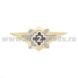Значок мет. Классность ФСИН 2 класс