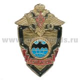 Значок мет. Летуч. мышь (серия ДиЧ (щит)
