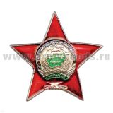 Значок мет. Участник Афганской войны (звезда) лат.