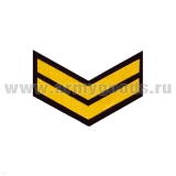 Курсовка пластизол. 2 курс (черн.) галочка