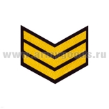 Курсовка пластизол. 3 курс (черн.) галочка