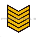 Курсовка пластизол. 5 курс (черн.) галочка