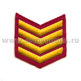 Курсовка вышит. 4 курс (крапов.) люрекс
