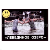 Магнит виниловый (гибкий) со смайликом Лебединое озеро