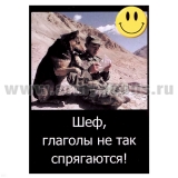 Магнит виниловый (гибкий) со смайликом Шеф, глаголы не так спрягаются!