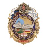 Значок мет. Участник морской операции по принуждению Грузии к миру БДК "Саратов" август 2008