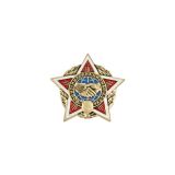Значок мет. Воину-интернационалисту (звезда) мал., на пимсе