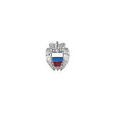 Значок мет. Орел ФСО на пимсе (фрачник) серебр.