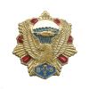Значок мет. ВДВ (орел на звезде)