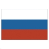 Флаг РФ (30х45 см)