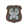Шеврон пластизолевый ВАИ (нов/обр) оливковый фон (щит)