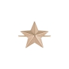 Звезда на погоны 20 мм (золото проба 585)