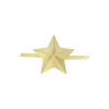 Звезда на погоны латунная 20 мм зол. (крепление - пайка на серебре)