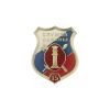 Значок мет. 15 лет службе охраны (щит с малой эмблемой ФСИН, заливка смолой) НОВ-942