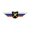 Значок мет.  Должностной знак командира главного центра (отряда, центра) (Топографическая служба) №124