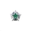Звезда на погоны пласт. 14 мм Общегражданская (серебр. с зелен. краской)