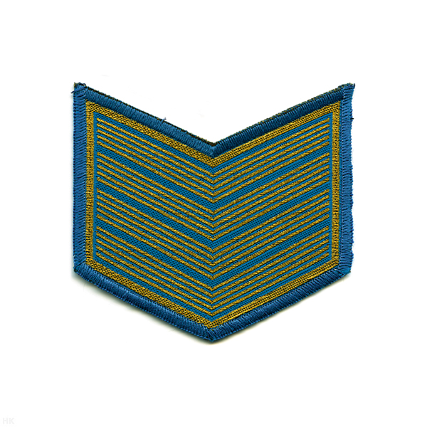 Курсовка тканая 4 курс голуб.