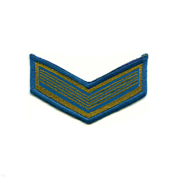 Курсовка тканая 1 курс голуб.