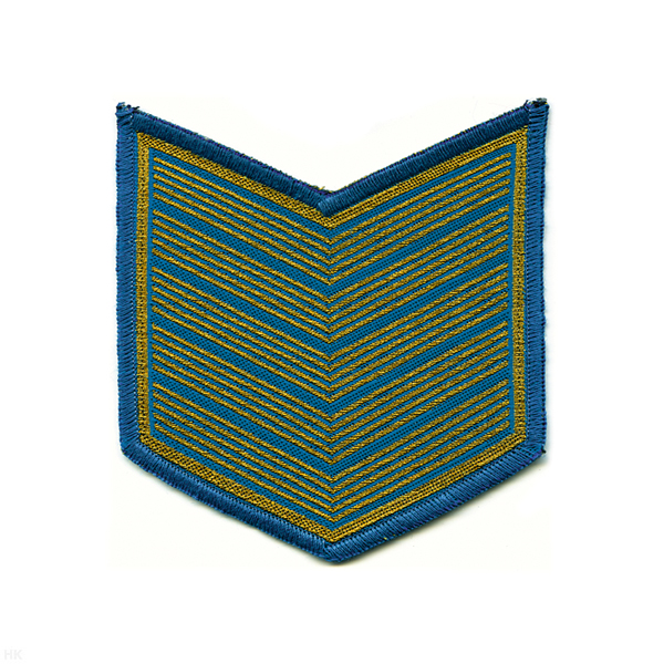 Курсовка тканая 5 курс голуб.