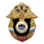 Значок мет. Воен. разв. (серия Россия)