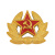 Кокарда пласт. СА рядового состава