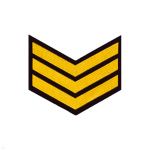 Курсовка пластизол. 3 курс (черн.) галочка