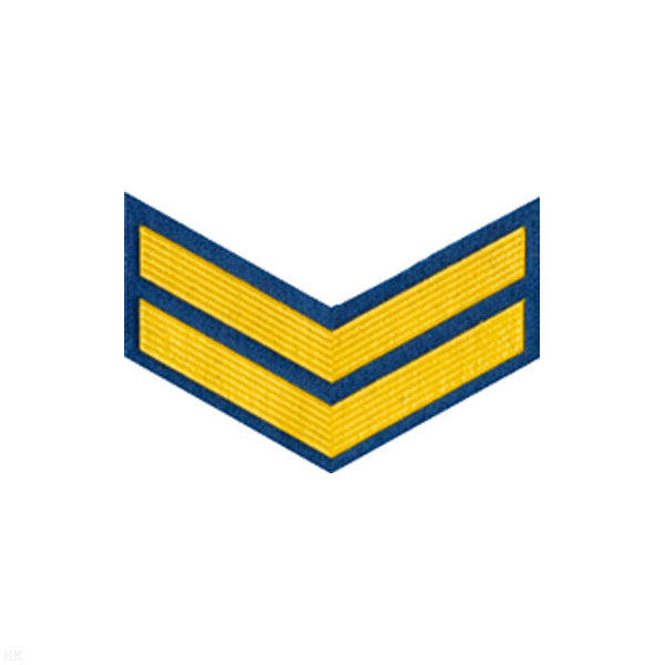 Курсовка пластизол. 2 курс (голуб.)