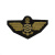 Техзнак канит. лат. Речной флот ("птичка" со штурвалом)