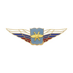 Значок мет. Должностной знак начальника военной академии (ВКС) (№52)