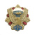 Значок мет. ВДВ (орел на звезде)
