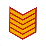 Курсовка пластизол. 5 курс (красн.) галочка
