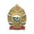 Значок мет. 98 гв. ВДД (серия ВДВ (Россия, лат.)