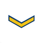 Курсовка пластизол. 1 курс (голуб.)