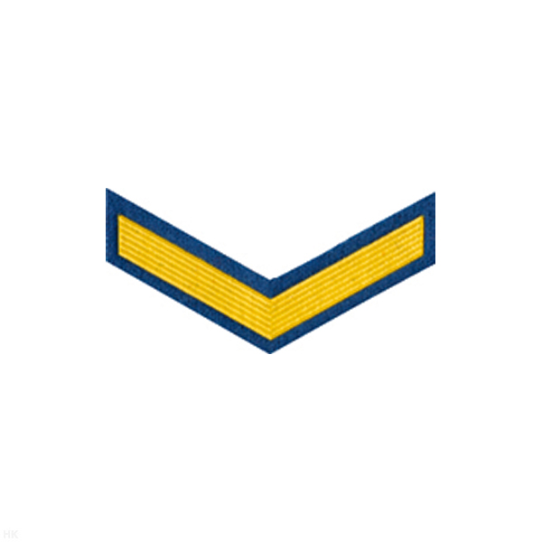 Курсовка пластизол. 1 курс (голуб.)