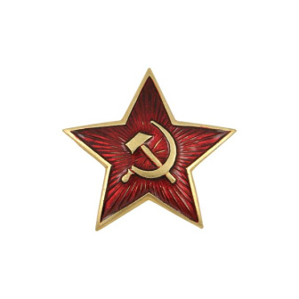 00000013256