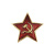 Значок мет. Звезда СА (на пимсе)