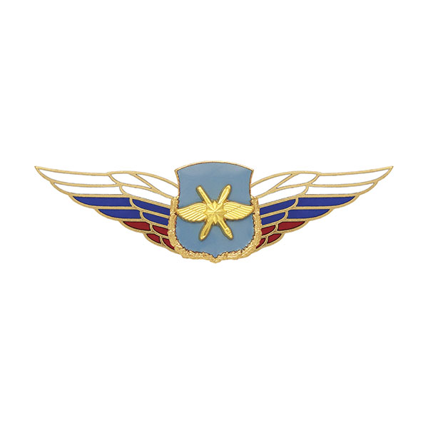 Значок мет. Должностной знак командира дивизии и ей равного соединения (ВКС) (№48)