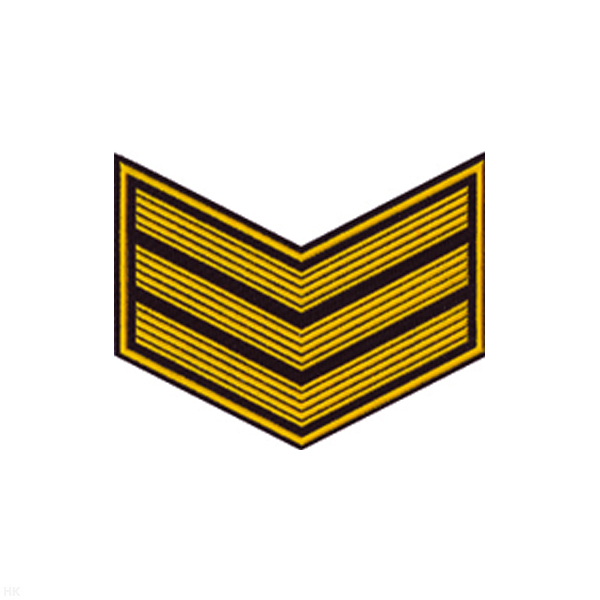 Курсовка пластизол. 3 курс (черн.) галочка (с просветами)