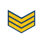Курсовка пластизол. 3 курс (голуб.)