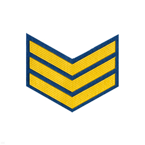 Курсовка пластизол. 3 курс (голуб.)